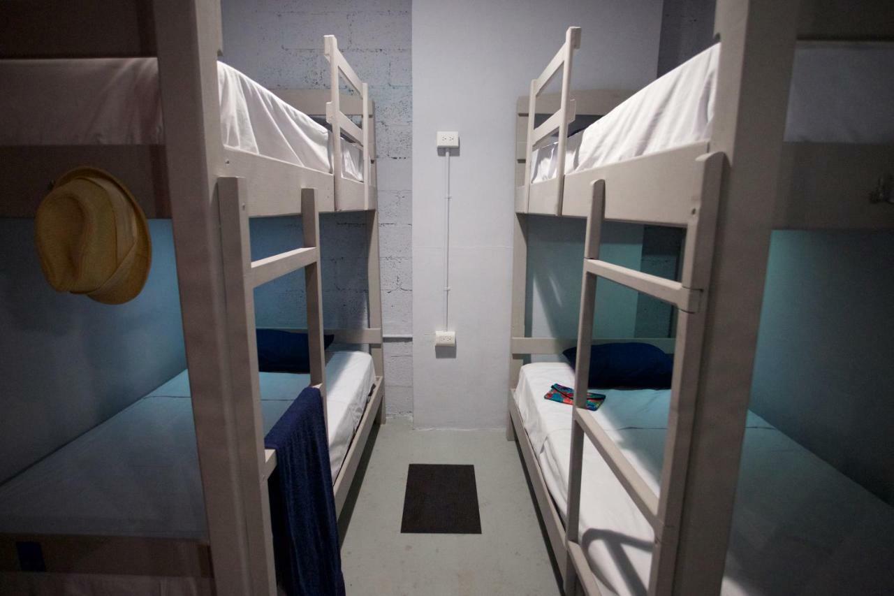 Hostel Auikyani コスメル エクステリア 写真
